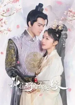 《神探驸马请接嫁》：高糖探案，古装悬疑喜剧来袭！你准备好了吗？