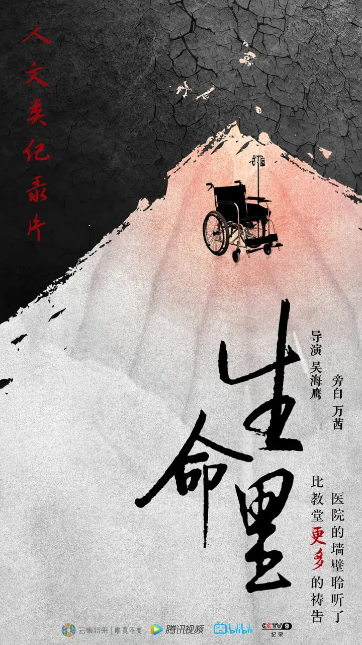 《生命里》：致敬平凡英雄的温柔史诗，探索人生百味与温情治愈