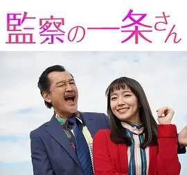 《监察的一条先生》：反腐扫黑的深度剖析，正义与权谋的较量，一部引人深思的现实主义力作